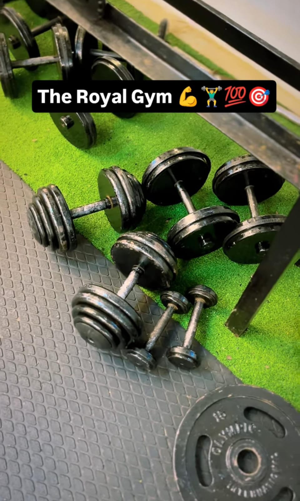 Gym Equipment
